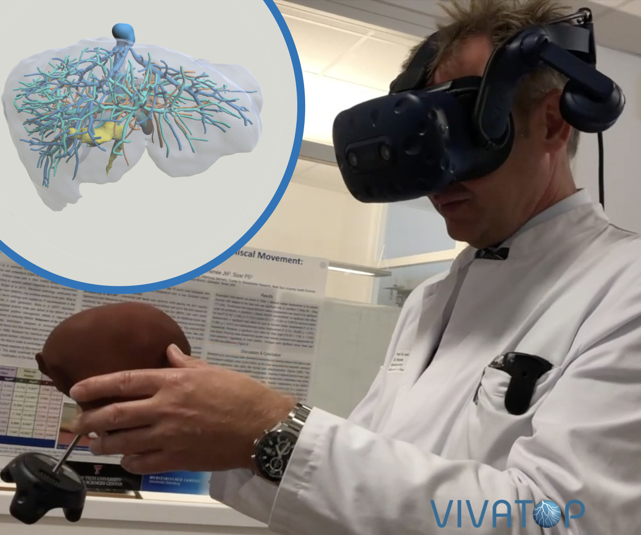 A Study on the Size of Tangible Organ-Shaped Controllers for Exploring Medical Data in VR